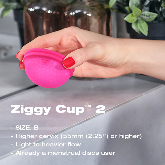 Coupe menstruelle Ziggy - Taille B